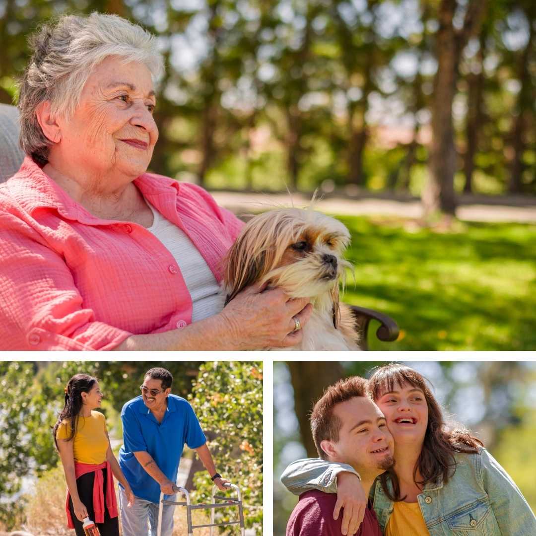 Grid showing different types of vulnerable adults
